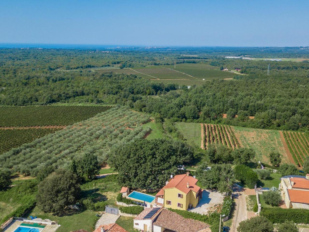 Villa Hrast Bacva Visnjan Bagian luar foto