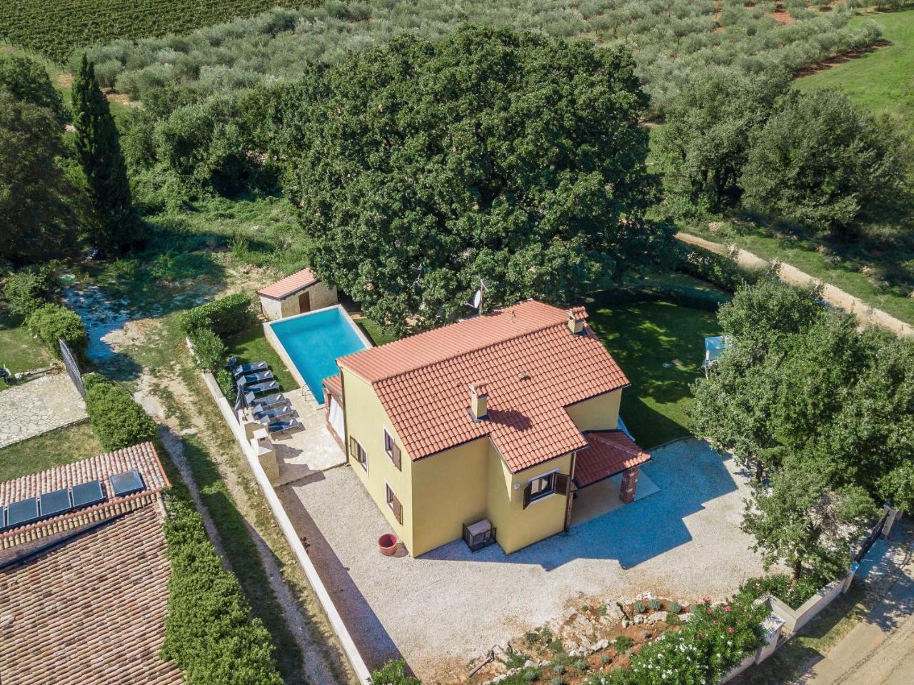 Villa Hrast Bacva Visnjan Bagian luar foto