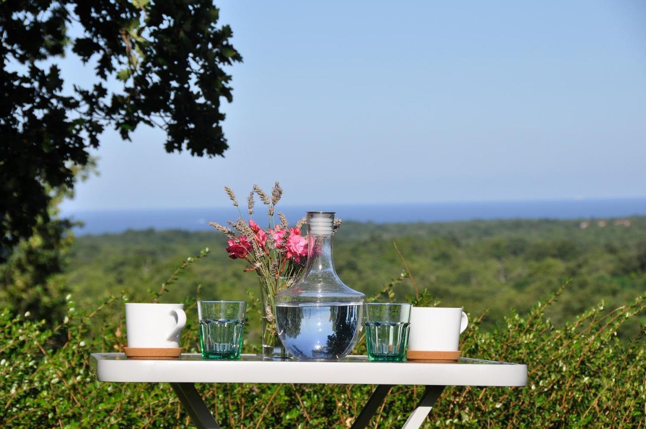 Villa Hrast Bacva Visnjan Bagian luar foto